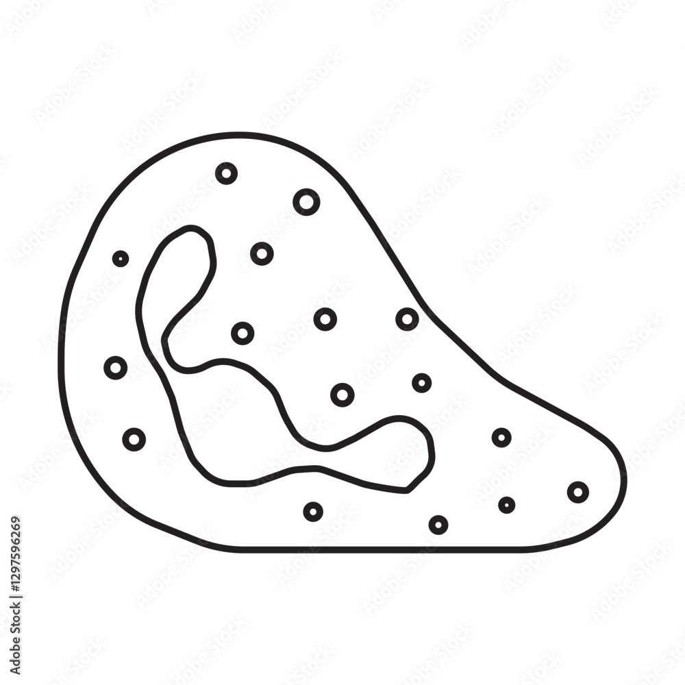 neutrophil crawling line icon neutrophil crawling line icon