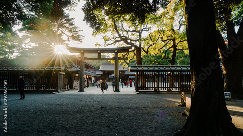 Photography Tokyo , Japan -13 Feb 2025: Crowded People Walking Towards The Torii Gate At The
