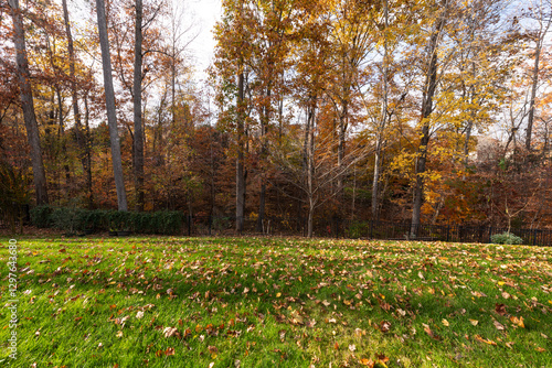 A peaceful backyard patio covered in fresh snow, featuring a curved stone wall with glowing lights. Black railings and bare trees enhance the serene winter ambiance at dusk.