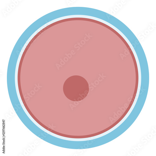 Oocyte mammalian colored