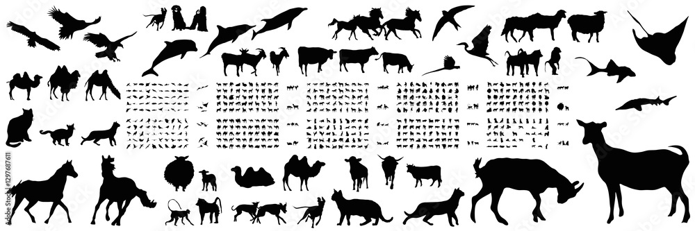 Obraz premium animal silhouette set collection png design nature