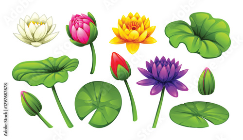Diverse collection of water lilies in different colors and stages of bloom, along with leaves. Vector cartoon illustration