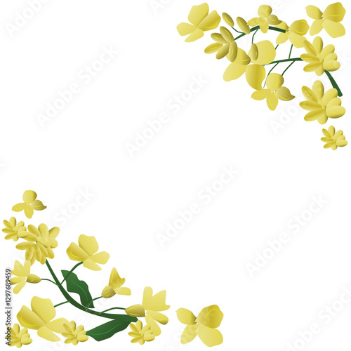 Canola Flower Frame and Border Vector