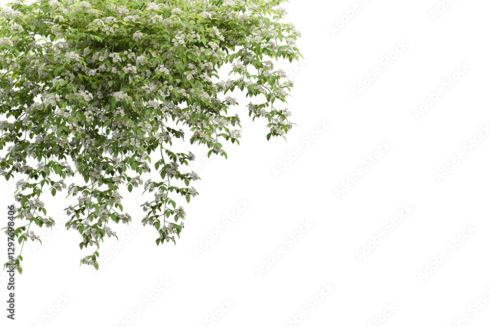 green leaves isolated on white background green leaves isolated on white background
