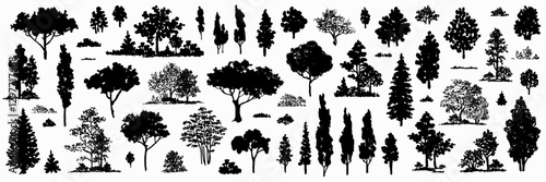 Trees black sketch set. Hand drawn graphic forest silhouette. Nature simple clipart. Composition of different trees, shrubs and grass isolated on white background. Vector illustration