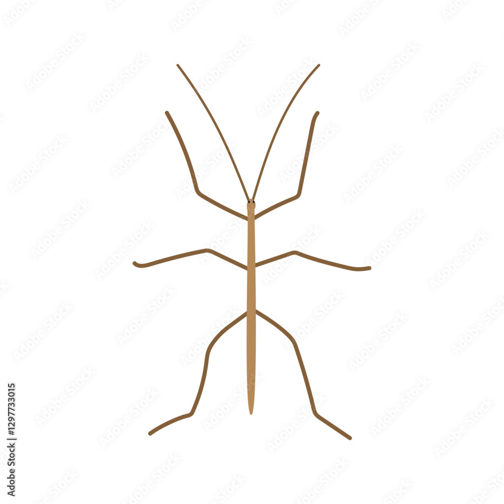 Stick bug cartoon clipart. Cute stick bug or stick insect or walking stick (Phasmatodea) vector illustration. Animal in flat style. Insects and anthropods concept isolated on white background Stick bug cartoon clipart. Cute stick bug or stick insect or walking stick (Phasmatodea) vector illustration. Animal in flat style. Insects and anthropods concept isolated on white background