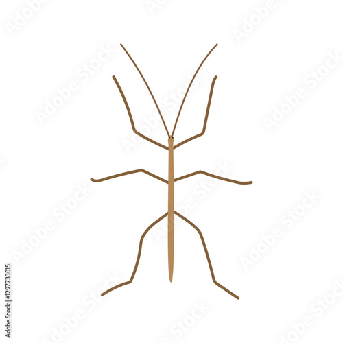 Wallpaper Mural Stick bug cartoon clipart. Cute stick bug or stick insect or walking stick (Phasmatodea) vector illustration. Animal in flat style. Insects and anthropods concept isolated on white background Torontodigital.ca