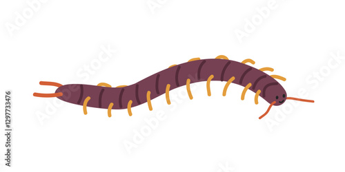 Centipede cartoon clipart. Cute centipede (Chilopoda) vector illustration. Animal in flat style. Insects and anthropods concept isolated on white background