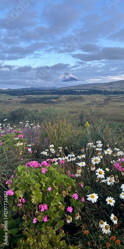 Cotapaxi National Park, Ecuador