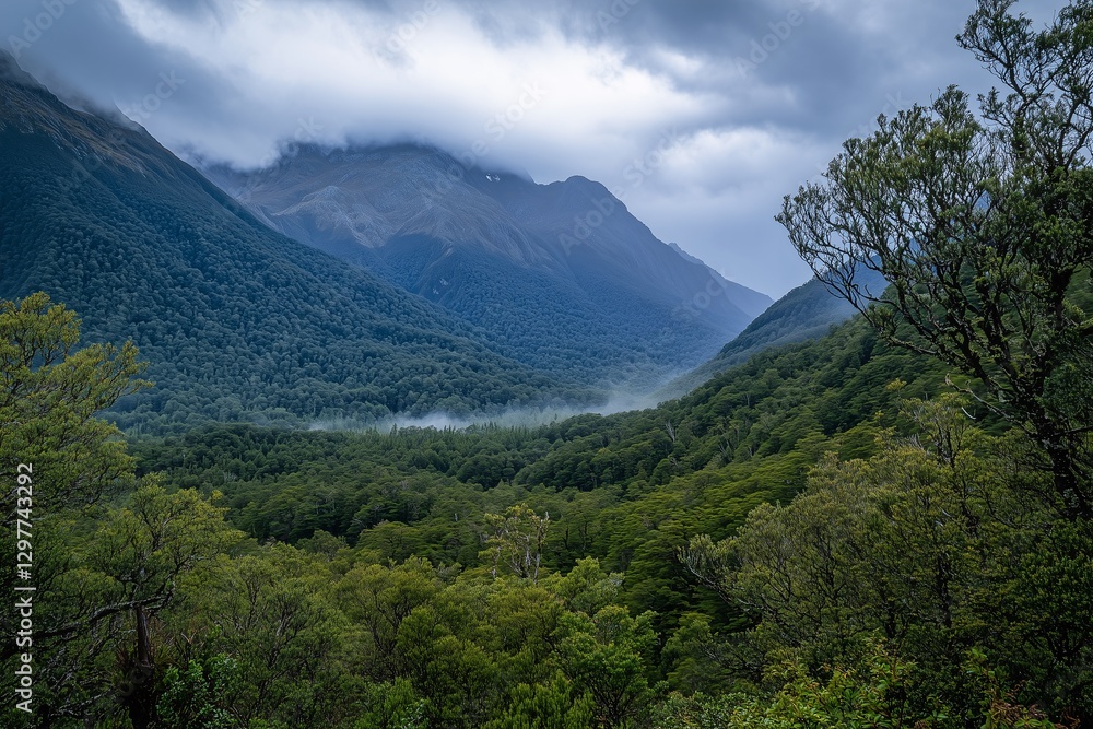 Fototapeta premium Beautiful mountain peaks, clouds and mist emerge from the mountains, the air is fresh