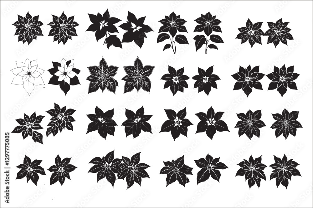 Fototapeta premium Poinsettia in Black and White: A Holiday Botanical Illustration