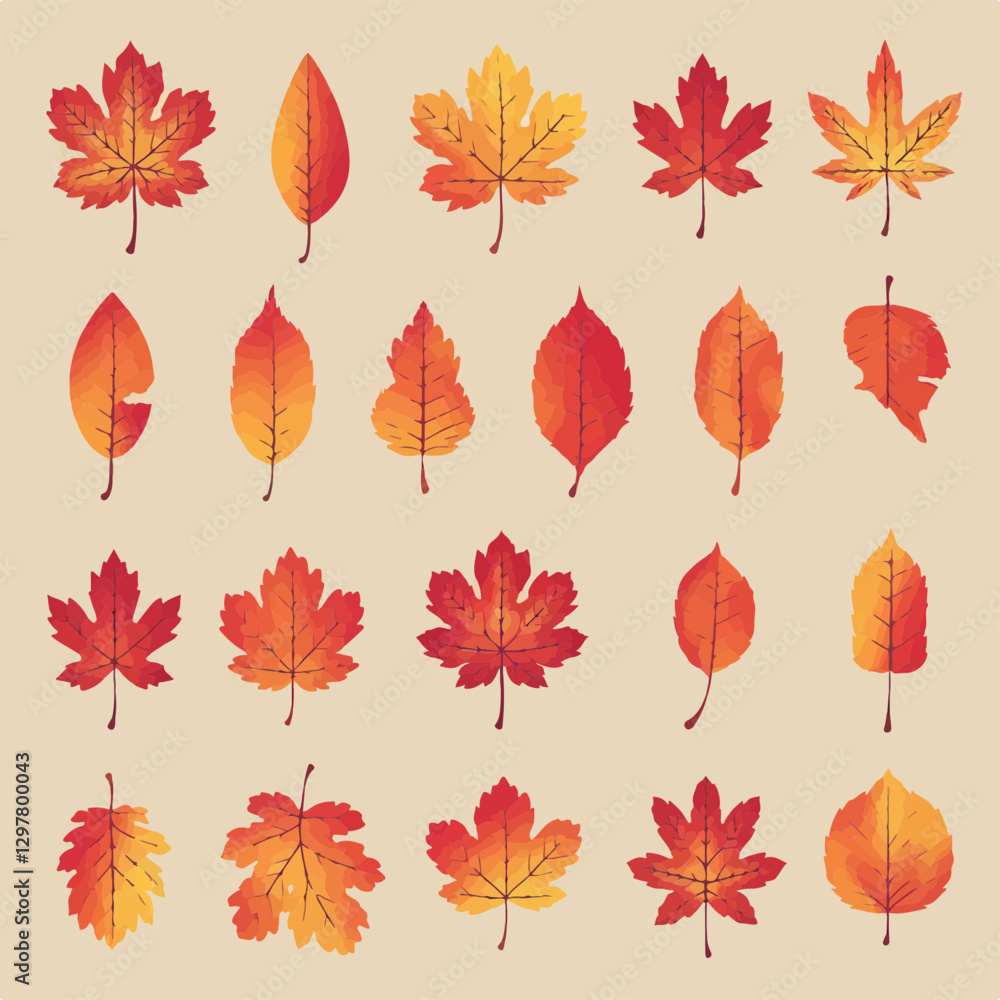 Obraz premium Autumn fall leaves collection with colorful red orange yellow maple and elm foliage illustrations 
