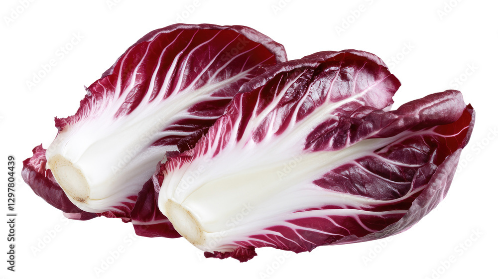 Radiant Radicchio: A close-up shot of two vibrant radicchio heads, showcasing their deep maroon and crisp white leaves, fresh from the market Radiant Radicchio: A close-up shot of two vibrant radicchio heads, showcasing their deep maroon and crisp white leaves, fresh from the market