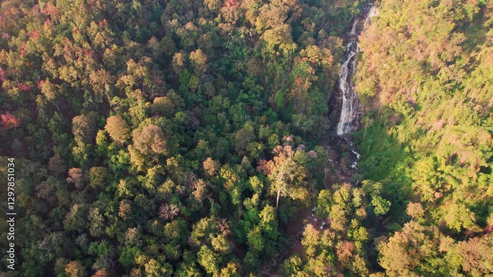 green forrest and mountain .Top view of countryside road passing through the green forrest and mountain .Top view of countryside road passing through the