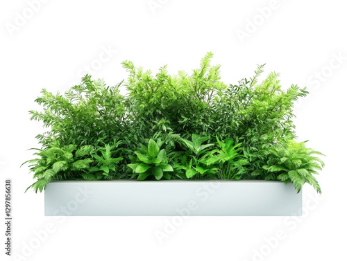 Fototapeta Stylish white planter with lush green plants, elevate your home or office decor