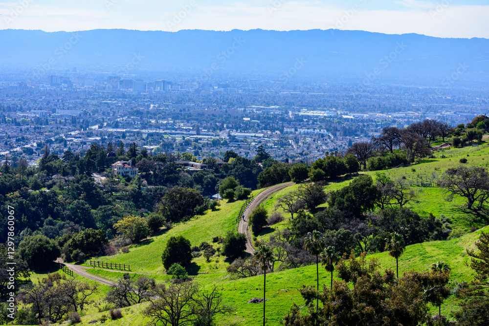 Naklejka premium A winding dirt trail bordered by fencing cuts through green hills with scattered trees, overlooking Downtown San Jose skyline and the surrounding suburban sprawl from Alum Rock Park