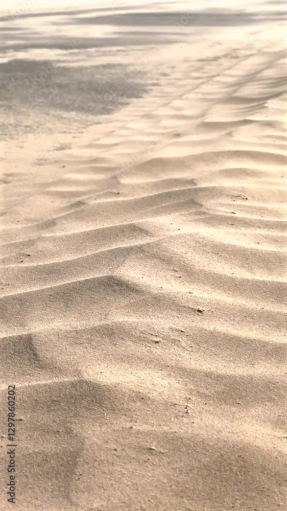Desert road covered in shifting sand due to constant wind erosion Smooth surface disrupted by natural forces as sand drifts across path creating an ever-changing landscape in harsh desert environmen Desert road covered in shifting sand due to constant wind erosion Smooth surface disrupted by natural forces as sand drifts across path creating an ever-changing landscape in harsh desert environmen
