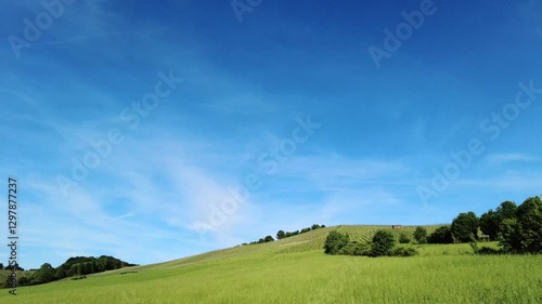beautiful landscape in the hohenlohe region, near the village of michelbach am wald, Germany, Europe