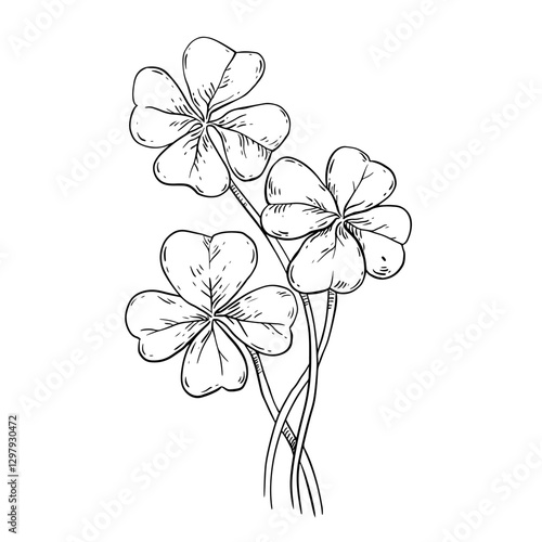 Hand drawn stalks of clover. St. Patrick's Day symbol of luck. Shamrock  Irish folklore