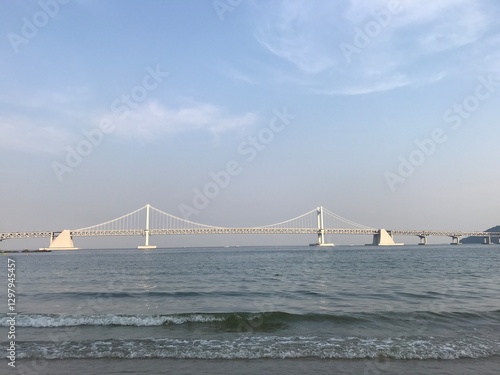 바다의 다리