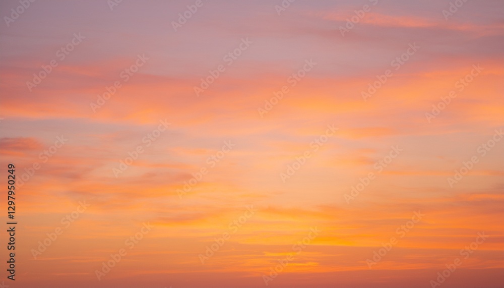 Fototapeta premium 바다에서 보는 저녁 노을