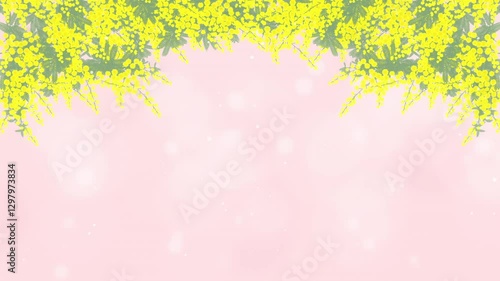 ミモザ　フレームトップ　背景ピンク