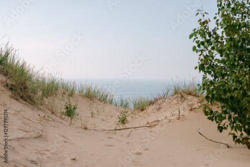Fototapeta Naklejka Na Ścianę i Meble -  A Lakeview from the Dunes