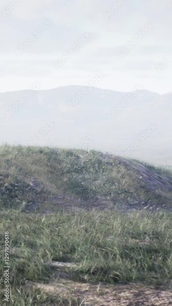 A grassy hill with mountains in the background A grassy hill with mountains in the background