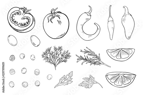 Vegetables black white vector illustrations set. Jalapeno, hot peppers, herbs and peppercorns monochrome simple drawing. Lemon and olives, tomatoes in line art painted contour for menu, label.