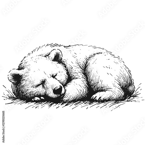 Bear sleeping line art drawing ink sketch vector hand drawn illustration background, tranquil twilight sleeping under the stars