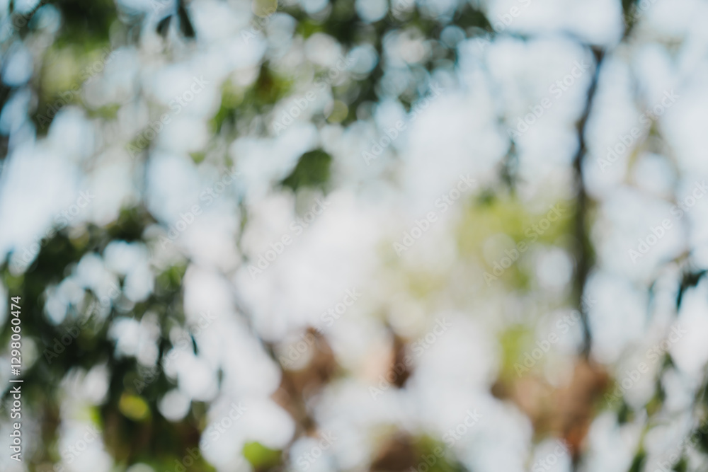 Soft Blurred Background of Green Leaves in Natural Light Setting Soft Blurred Background of Green Leaves in Natural Light Setting
