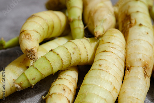 Arrowroot or Umbi Garut, ararut, irut (Maranta arundinacea). Arrowroot tubers can be used as an alternative source of carbohydrates
