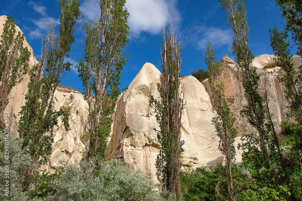 Stunning rock in Cappadocia formations rise beside tall poplar trees under a clear blue sky.