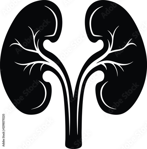 Black and White Kidney Anatomy Silhouette.