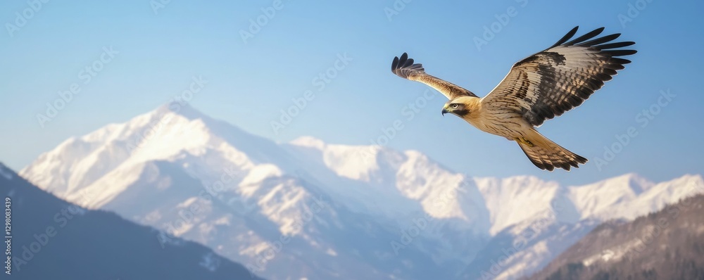 Fototapeta premium Wild animal behavior studies featuring birds of prey soaring above rugged mountains, showcasing their hunting techniques and majestic flight against a clear sky.