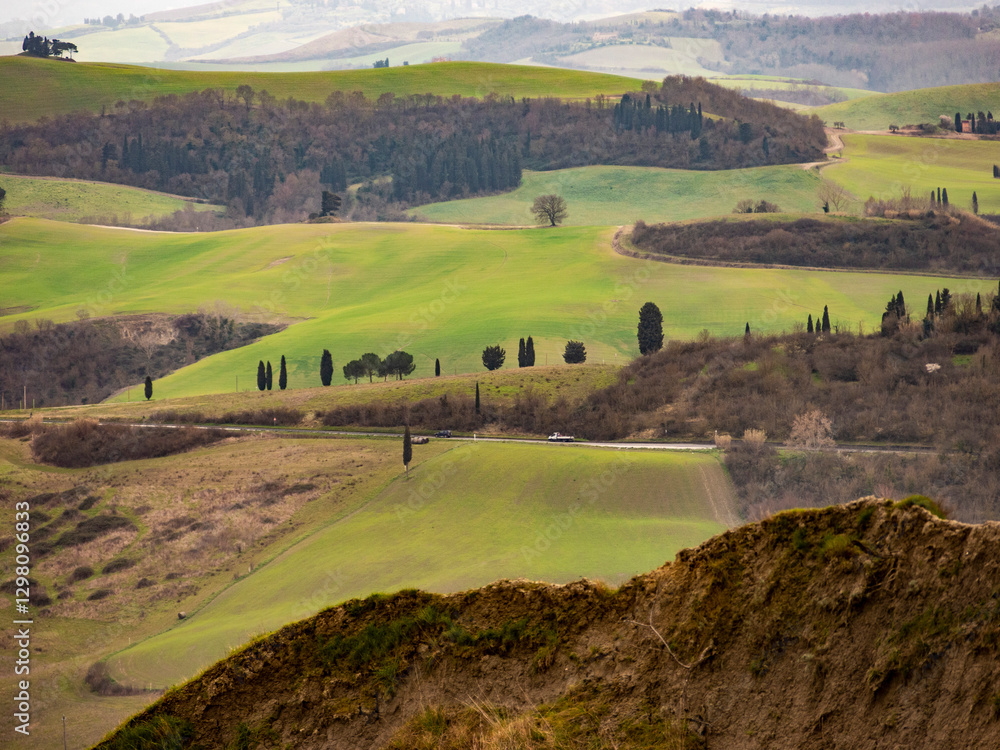 Italia, Toscana, provincia di Pisa, campagna di Palaia.