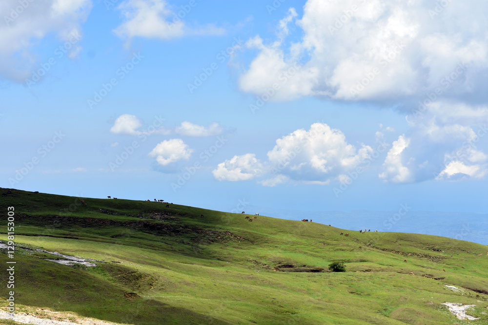 Mountain Landscape of Timor-Leste – Scenic High-Altitude View with Green Valleys, Hills, and Rural Farmland in Natural Light

