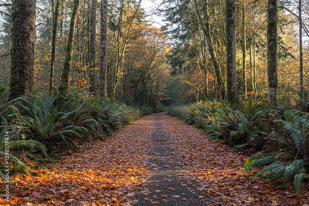 Fototapeta premium Scenic autumn forest path covered with fallen leaves in golden sunlight