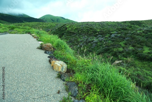 Nature Seen from a Japanese Mountain Road , 日本の山道から見た自然