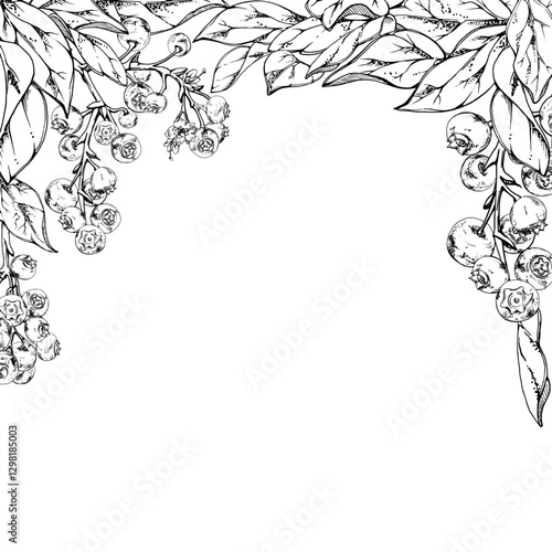 Blueberry blackberry cluster with plant leaves on branch, hand drawn in ink vector, ripe forest berry. Isolated square frame botanical illustration for restaurant, cafe menu, wedding, farmers market