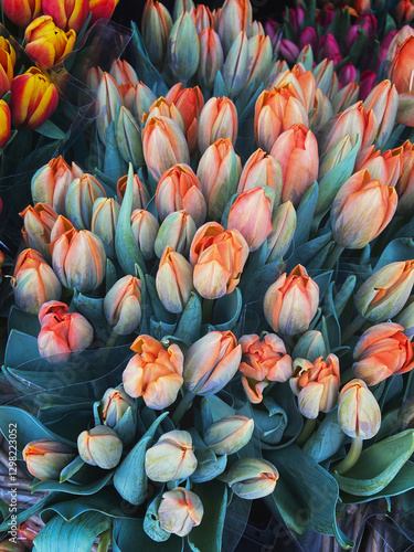 Bouquet of orange tulips flowers on the flower market