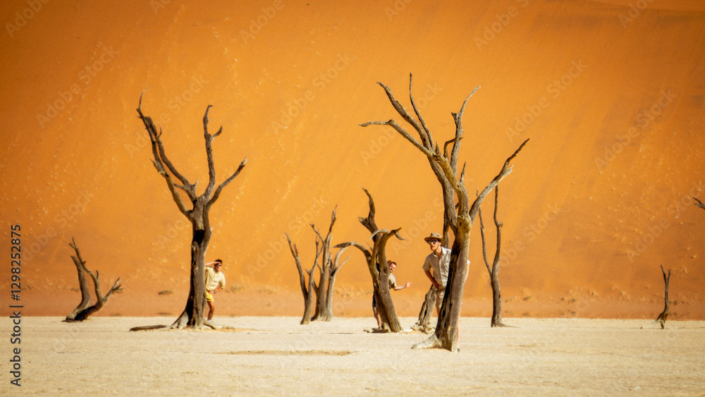Sossusvlei Trees Hiding