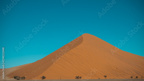 Sossusvlei Sand Dune