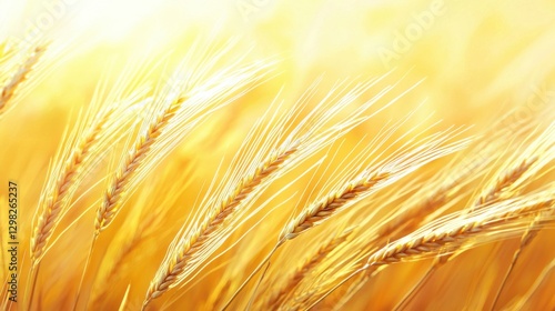 A golden field of wheat sways gently in the sunlight, creating a serene and vibrant agricultural landscape.