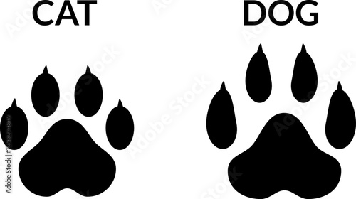 Obraz na płótnie Cat and dog claw marks animal paw prints w salonie