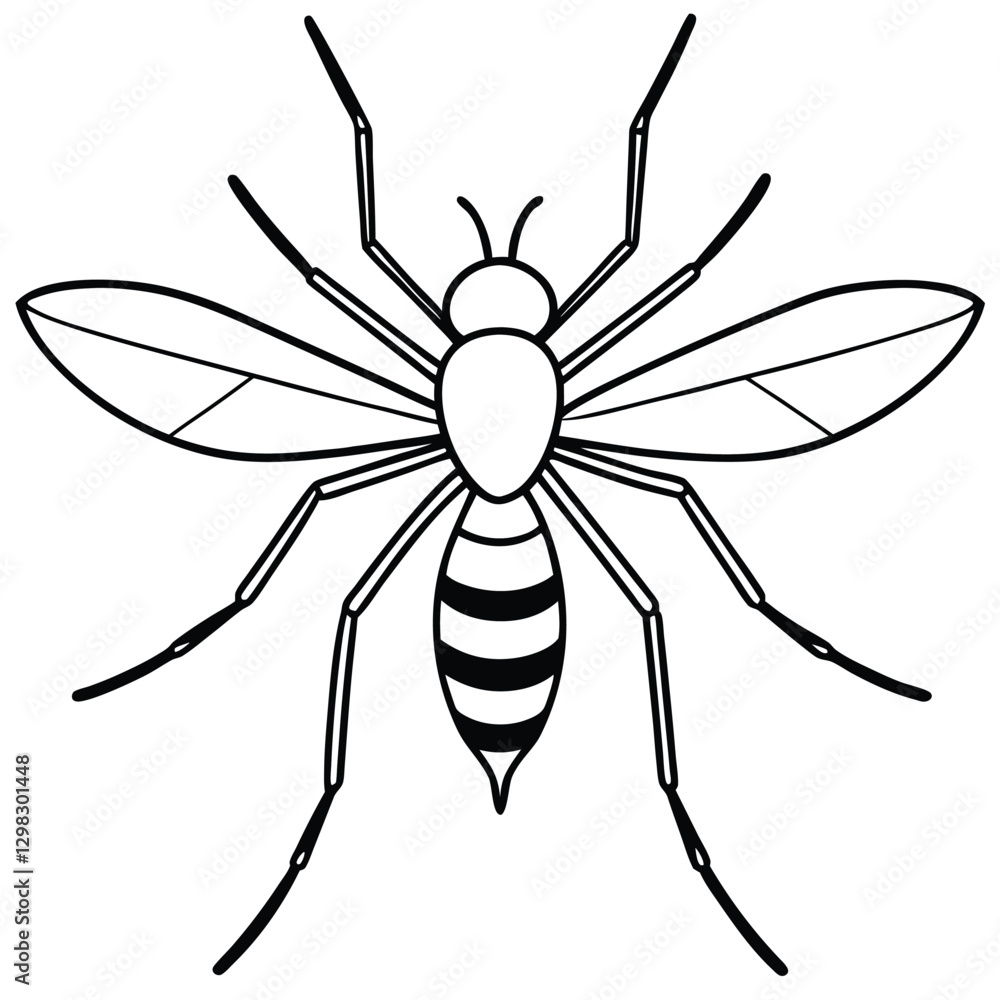 Mosquito isolated on white background Mosquito isolated on white background