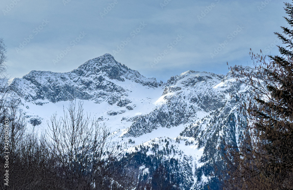 Obraz premium Snowy mountain peaks rising above a winter forest landscape.