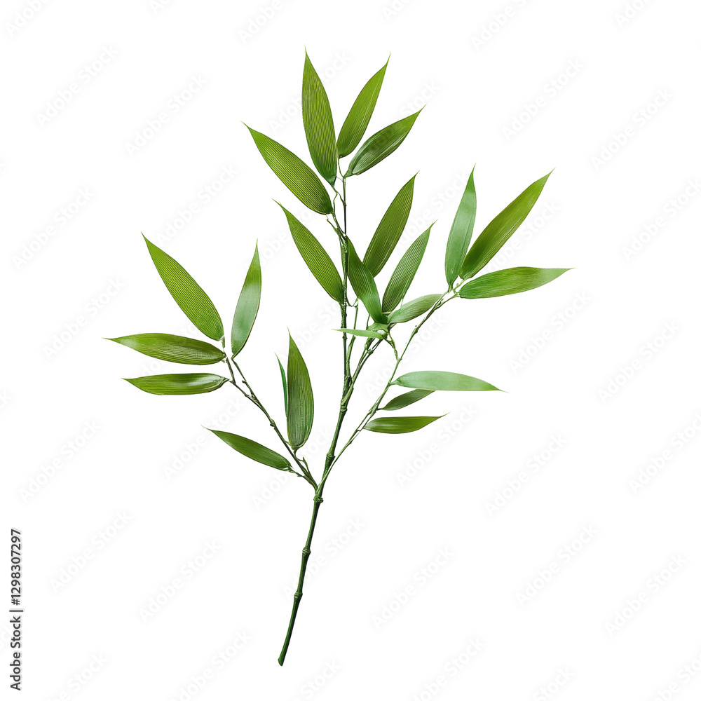 Obraz premium Bamboo leaf arrangement on a transparent background highlighting natural beauty and simplicity, bamboo leaf on transparent backgroundfile