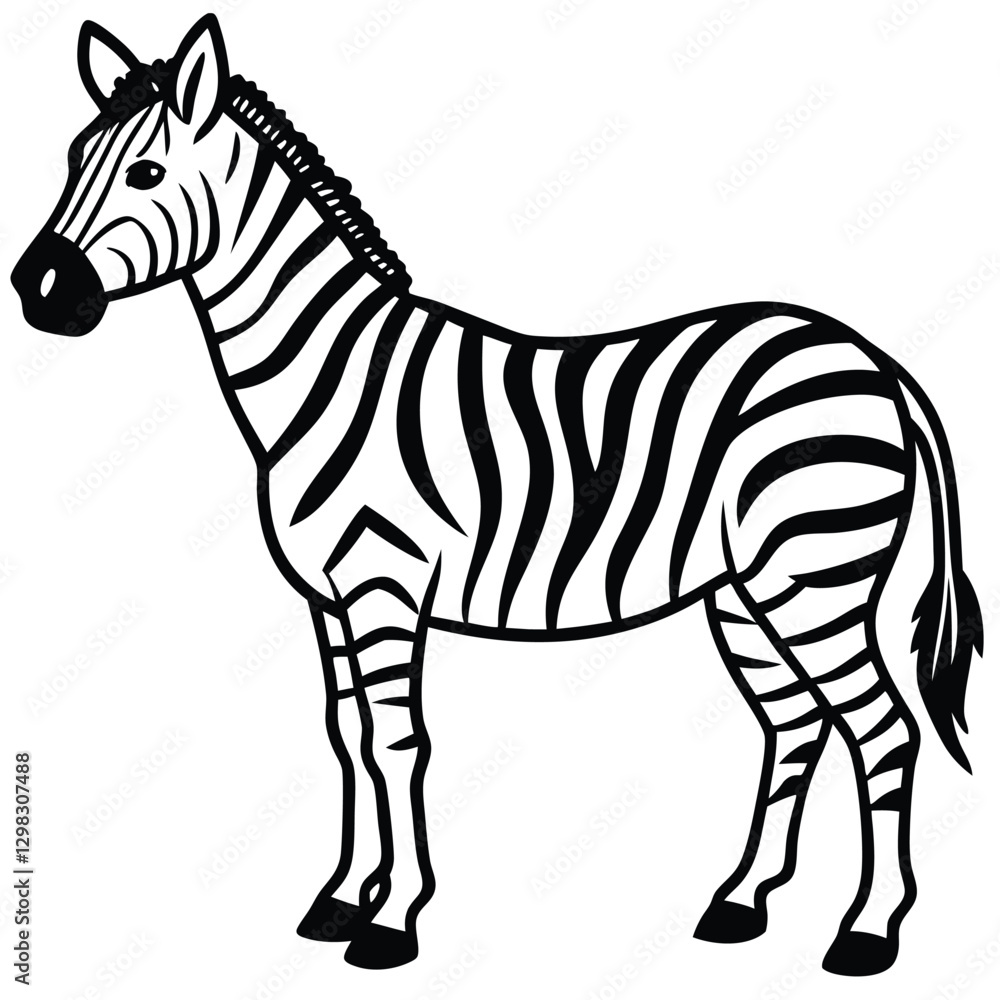 Fototapeta premium zebra isolated on white background