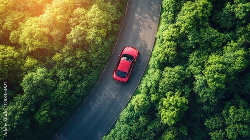 A car on an elevated road cutting through the dense, dark green forest. Serene journey, surrounded by nature.